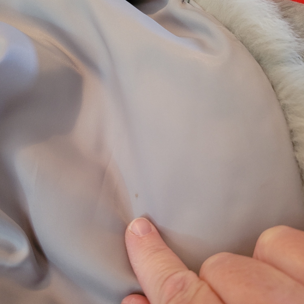 Saga Fox Fur Coat Jacket Small Glamorous Luxury Smoke Free Clean - Picture 12 of 12